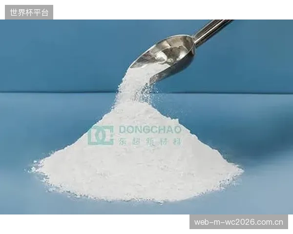 动辄数十万的剥离强度耐久性认证费用，是否正在将创新小品牌拒之门外，形成新的市场壁垒？